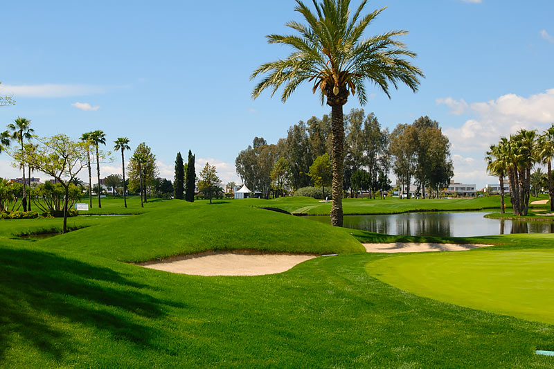 Sporting Event Transportation Tampa